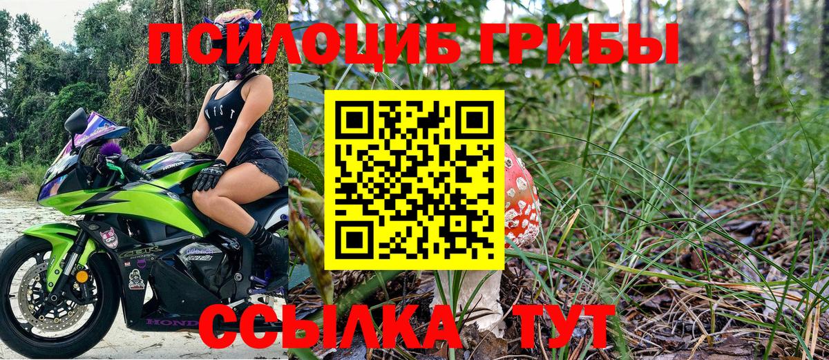 Псилоцибиновые грибы мухоморы Красноярск