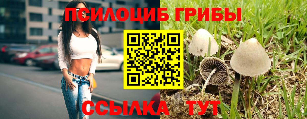Галлюциногенные грибы Psilocybe  Вход с VPN  Псилоцибиновые грибы мухоморы  Красноярск 